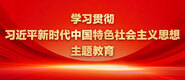 美女吃男人大鸡巴软件学习贯彻习近平新时代中国特色社会主义思想主题教育_fororder_ad-371X160(2)